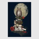 Мудрая сова и книги