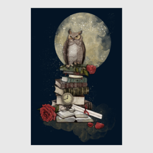 Постер Мудрая сова и книги