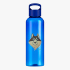 Прозрачная спортивная бутылка