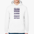 Толстовка худи