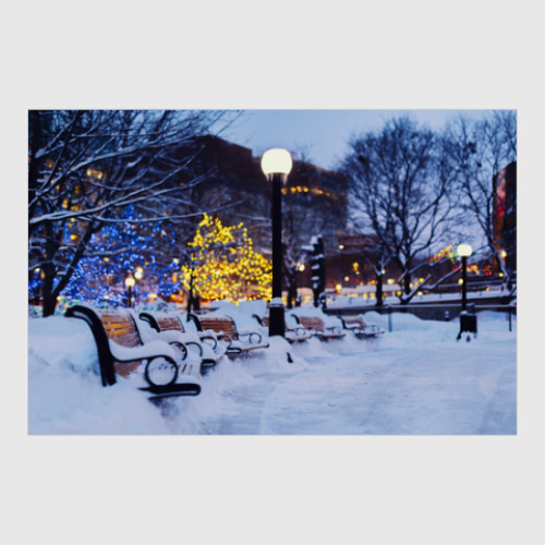 Постер с принтом Фото природы зимой