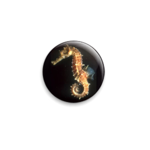 Значок 25мм с принтом  Морской конек
