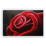 Роза - красный цветок