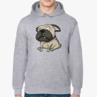grumpy dog