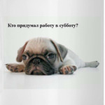 Я в субботу...