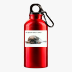 Металлическая бутылка 400 мл UV-DTF