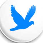 синяя птица