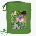 Бабочки лета