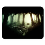 Волшебный лес