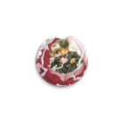  Кано и Аясе