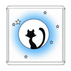 кот на луне