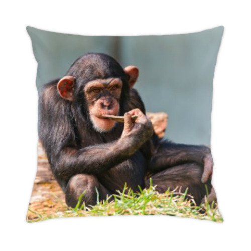 Подушка с принтом Символ 2016 года