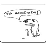 «Это шонибуделёз»