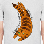 Рыжий кот счастье