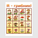 Я-грибник!