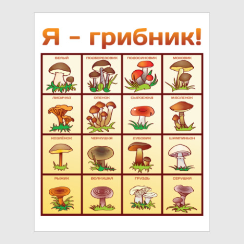Постер с принтом Я-грибник!