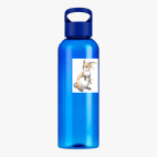 Прозрачная спортивная бутылка