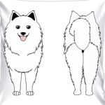 Два Самоеда