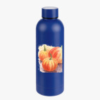 Термобутылка