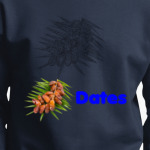Dates on a twig