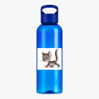 Прозрачная спортивная бутылка