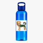 Прозрачная спортивная бутылка