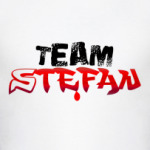 Муж.футболка Team Stefan