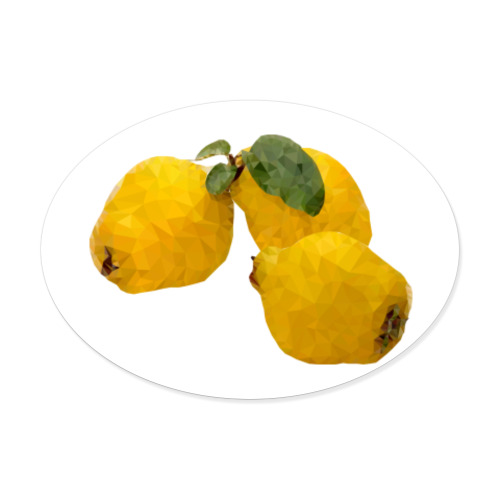 Виниловые наклейки Quince. Low poly.