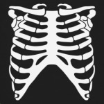 Скелет