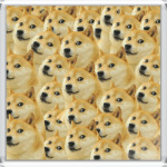 DOGE