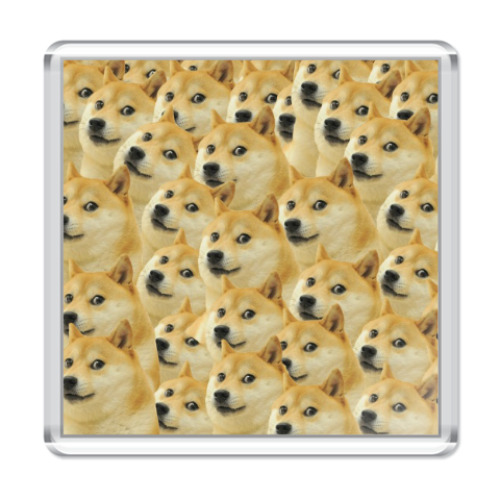 Магнит DOGE
