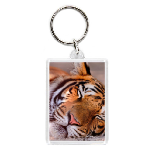 Брелок с принтом Спящий тигр