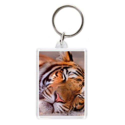 Брелок с принтом Спящий тигр