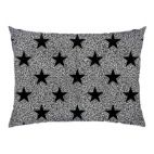 Северные звезды