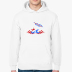 Толстовка худи