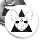 Кот сфинкс познавший Вселенную