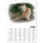 Милый хищник