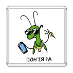 Понтяра