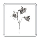 Колокольчик