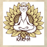   'Хорошая карма'