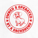 Owned & Operated By Dachshund