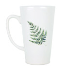 Папоротник