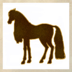 Темная лошадка