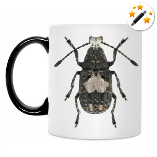 Кружка-хамелеон с принтом Жук ложнослоник