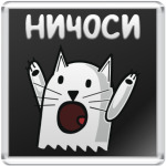 Ничоси Кот