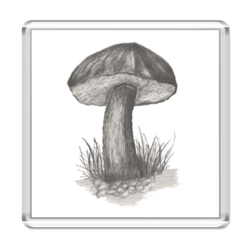 Магнит с принтом Гриб