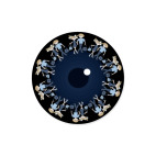 Большой брат следит за тобой