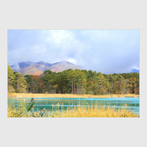 Постер с принтом Фото природы