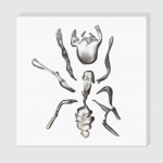 Металлический Муравей