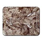 для ручного дракона